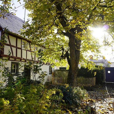 Hedwigs Hexenhaeuschen Lägenhet Kruft Exteriör bild